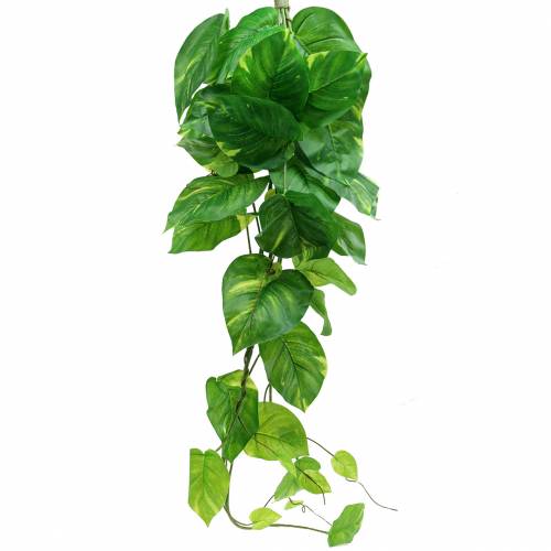 Floristik24 Philodendron galge 110 cm