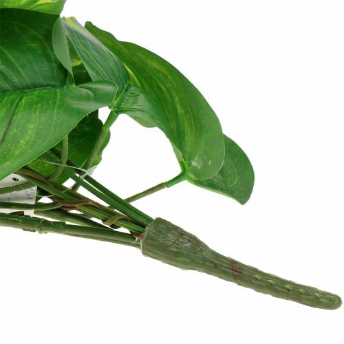 Floristik24 Philodendron galge 110 cm