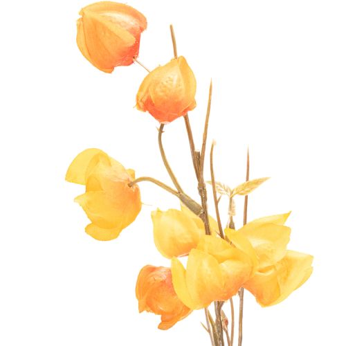 Konstgjord kinesisk lykta, Physalis-gren med blommor, 95 cm | Floristik24.se