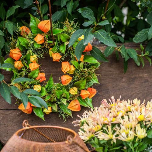 Floristik24 Physalis krans konstgjord orange, grön Ø28cm höstdekoration