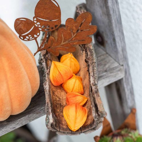 Floristik24 Physalis Orange Assorted 22 st dekorativa konstgjorda blomkålar