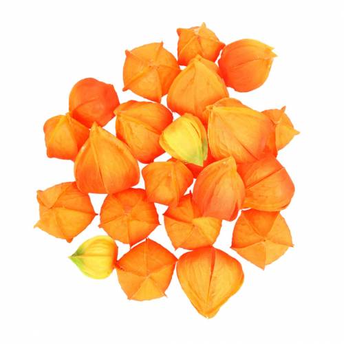 Floristik24 Physalis Orange Assorted 22 st dekorativa konstgjorda blomkålar