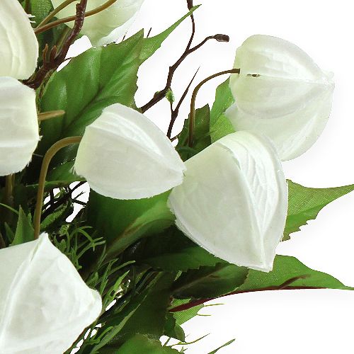 Floristik24 Physalis buske vit 30 cm