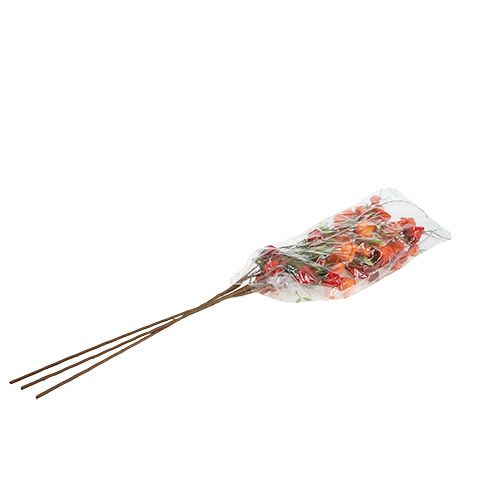 Floristik24 Physalis gren 90 cm orange 3st