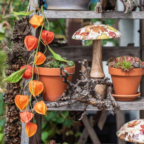 Floristik24 Physalis gren konstgjord orange 78cm