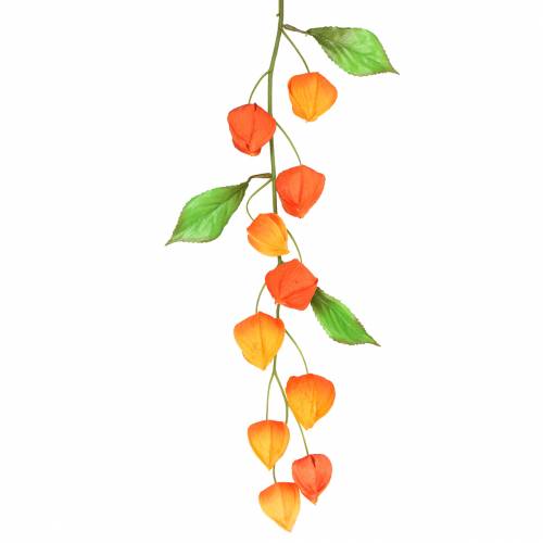 Floristik24 Physalis gren konstgjord orange 78cm