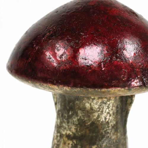 Floristik24 Deco svamp glas röd höstdekoration bordsdekoration Ø6,5cm H10cm 3st