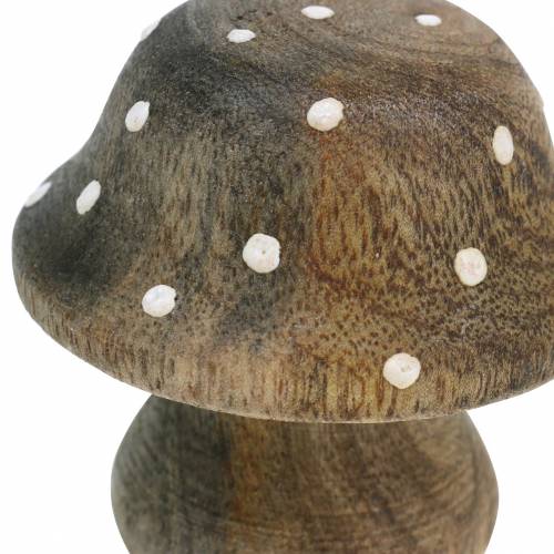 Floristik24 Dekorativ svampträ natur 5cm 6st