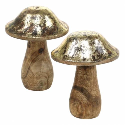 Floristik24 Träsvamp gyllene, naturligt mangoträ Ø6.8cm H9.8cm 2st