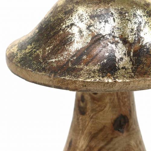 Floristik24 Träsvamp gyllene, naturligt mangoträ Ø6.8cm H9.8cm 2st