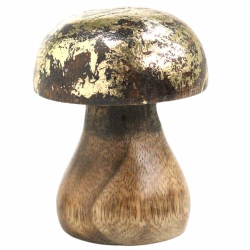 Floristik24 Träsvamp gyllene, naturligt mangoträ Ø5cm H6,5cm 4st