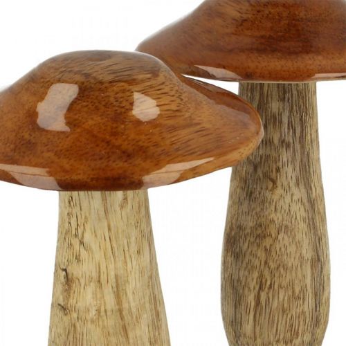 Floristik24 Svamp mangoträ brun, natur bordsdekoration höst Ø9cm H12cm 2st