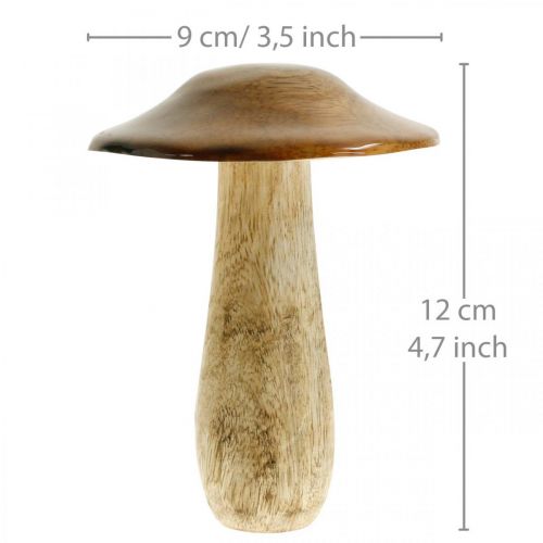 Floristik24 Svamp mangoträ brun, natur bordsdekoration höst Ø9cm H12cm 2st