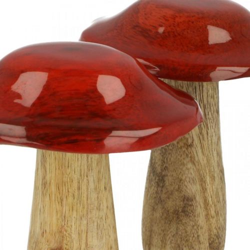 Floristik24 Svamp mangoträ röd, naturdekoration höst Ø9cm H12cm 2st