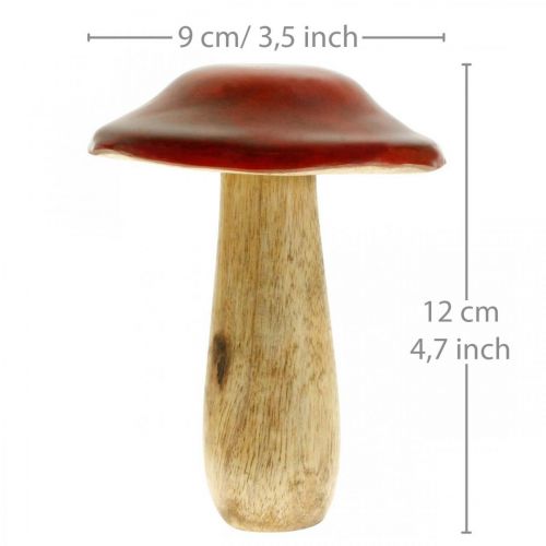 Floristik24 Svamp mangoträ röd, naturdekoration höst Ø9cm H12cm 2st