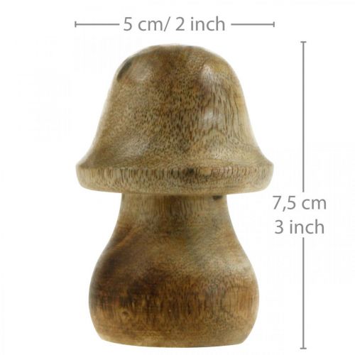 Floristik24 Svamp mangoträ naturligt trä svamp höstdekoration Ø5cm H7,5cm 6 st.