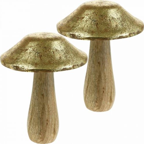 Floristik24 Svamp mangoträ guld, naturlig deco svamp stor Ø12cm H15cm 2st