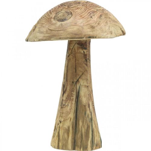 Floristik24 Svamp, paulowniaträ, höst, trädekoration Ø18–20cm H28cm