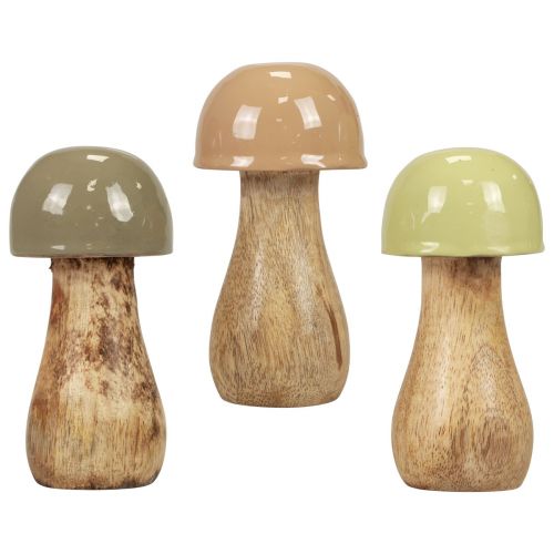 Träsvampar dekorativa svampar träbeige, grön Ø5cm H10,5cm 6st