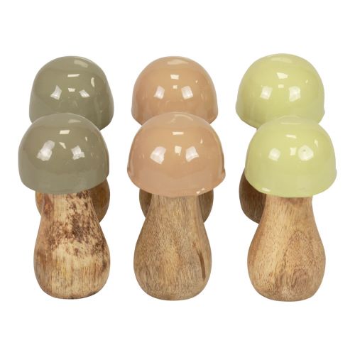 Floristik24 Träsvampar dekorativa svampar träbeige, grön Ø5cm H10,5cm 6st