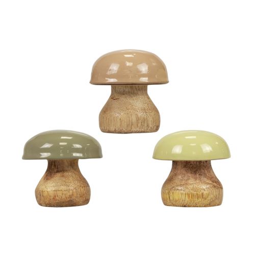 Floristik24 Träsvamp Deco svamp Trä Deco Beige, Grön Ø5cm H5,5cm 12st