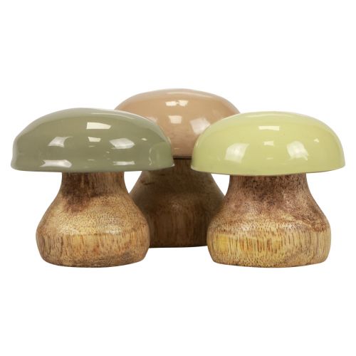 Floristik24 Träsvamp Deco svamp Trä Deco Beige, Grön Ø5cm H5,5cm 12st