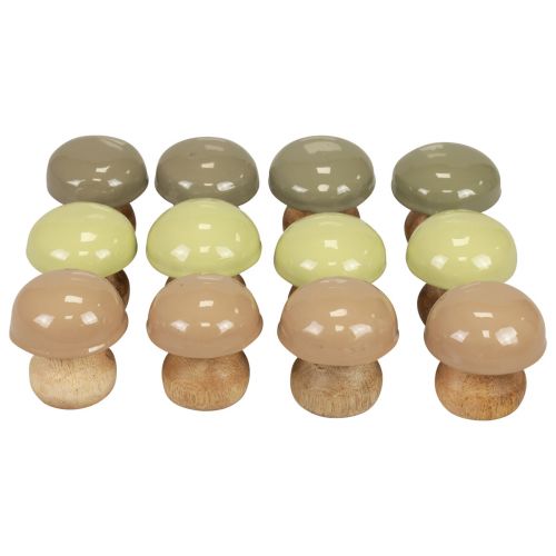 Floristik24 Träsvamp Deco svamp Trä Deco Beige, Grön Ø5cm H5,5cm 12st