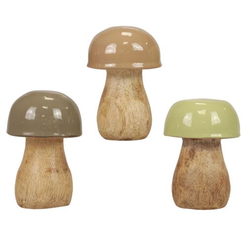 Träsvampar dekorativa svampar träbeige, grön Ø5cm 7,5cm 12st