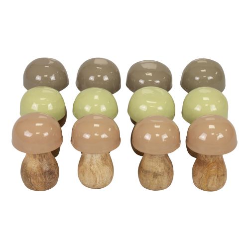 Floristik24 Träsvampar dekorativa svampar träbeige, grön Ø5cm 7,5cm 12st