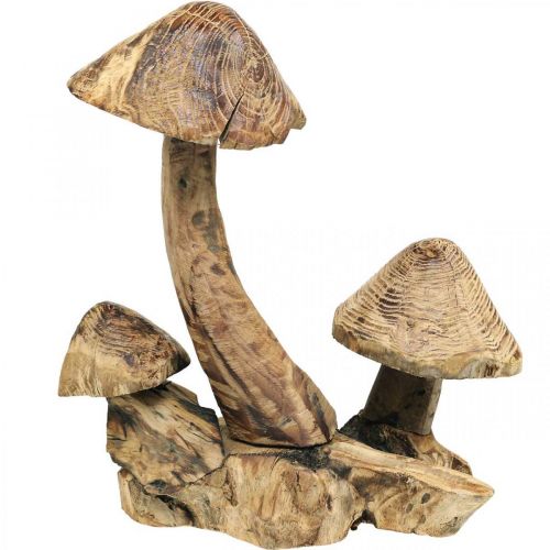 Svampgrupp, paulowniaträ, höstdekoration, träskulptur H33cm L30cm
