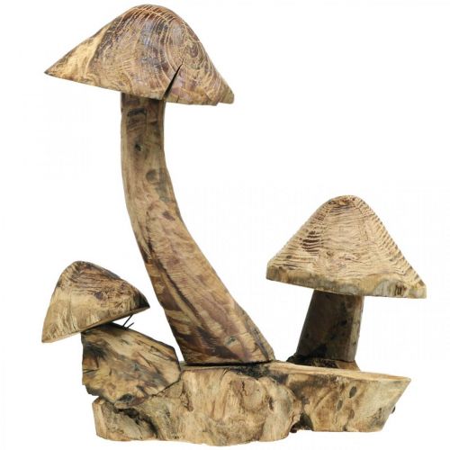 Floristik24 Svampgrupp, paulowniaträ, höstdekoration, träskulptur H33cm L30cm