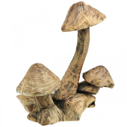 Floristik24 Svampgrupp, paulowniaträ, höstdekoration, träskulptur H33cm L30cm