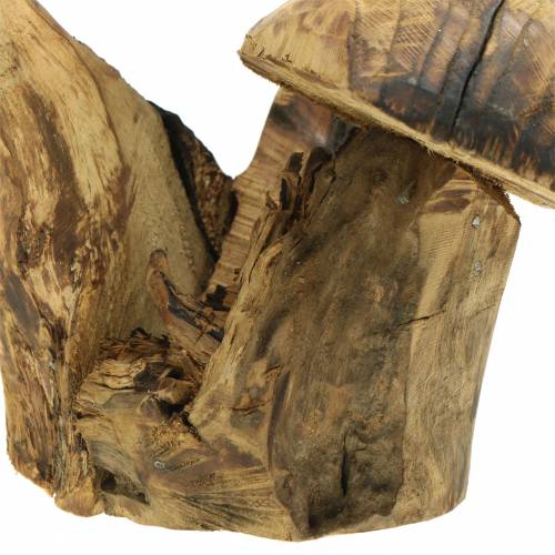 Floristik24 Svamp plommonträ H27cm