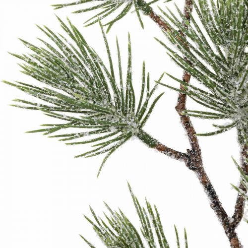 Floristik24 Julgrenar Tallgren Snöad 54cm 3st i gäng