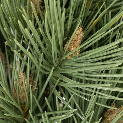 Dekorativt knippe av konstgjorda tallgrenar för arrangemang 39 cm 6 st | Floristik24.se