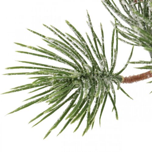 Floristik24 Julgrenar konstgjord tallgren snöade 30cm 6st