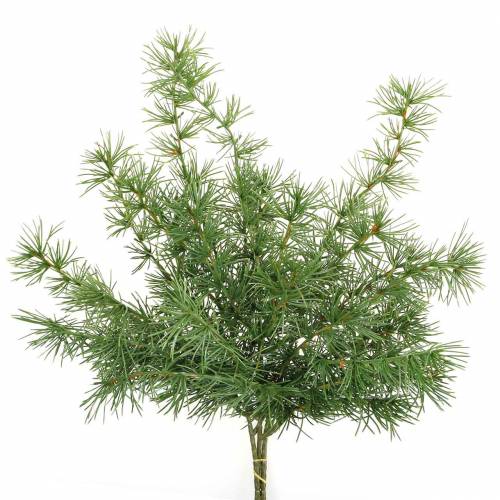 Floristik24 Konstgjord tallgren grön 53cm 3 st
