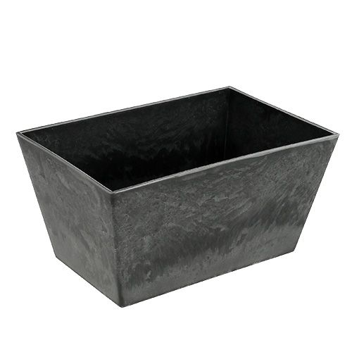 Floristik24 Fyrkantig plastskål antracit 20,5 cm x 13,5 cm H10,5 cm