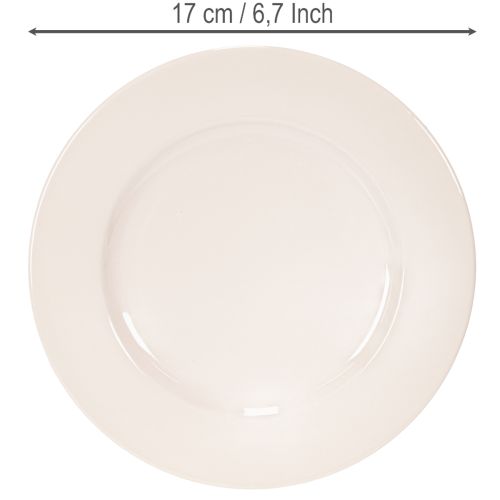 Runda, enkla tallrikar för dekoration och små arrangemang, 17 cm, 6 stycken | Floristik24.se