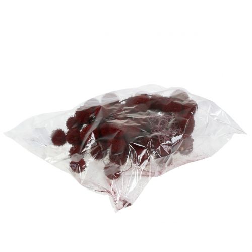 Floristik24 Platan frukt torkad mörkröd 250g