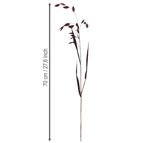 Artikel Plattörat gräs torrt gräs Chasmantium lila 70 cm 10 st