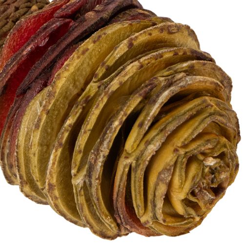 Artikel Platyspermum Kräm 1-3, 50 st