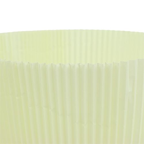 Floristik24 Veckade manschetter ljusgul 18,5 cm 100 st.