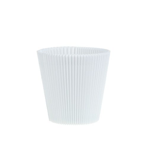 Floristik24 Plisserade muddar vita 8,5cm 100 st