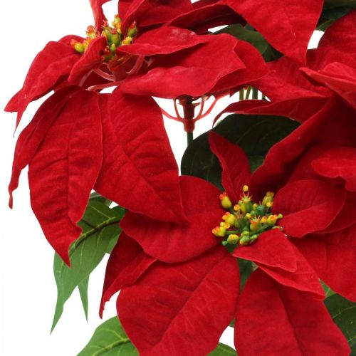 Artikel Konstgjord julstjärna Röd Konstgjorda blommor i kruka H53cm