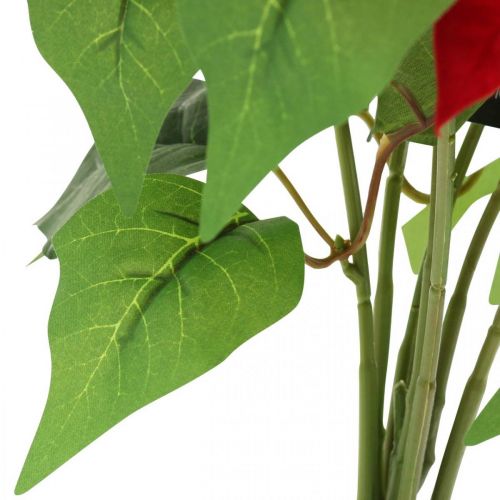Floristik24 Konstgjord julstjärna Röd Konstgjorda blommor i kruka H53cm