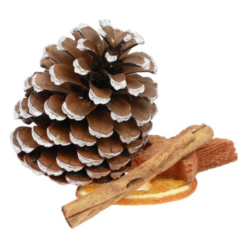 Floristik24 Potpurri julapelsinskivor kottar kanelved 150g