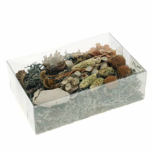 Floristik24 Herbstdeko Mix som hantverksset Torkad Blekt 150g