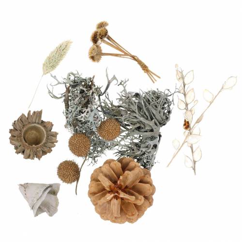 Herbstdeko Mix som hantverksset Torkad Blekt 150g