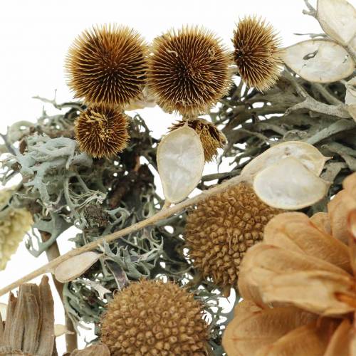 Floristik24 Herbstdeko Mix som hantverksset Torkad Blekt 150g